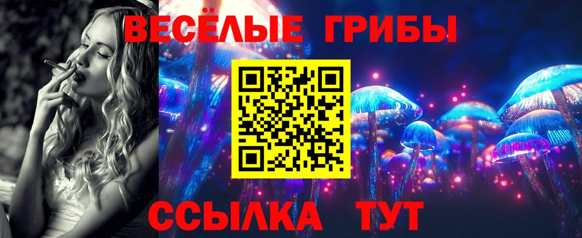 Муравленко  как найти   Вход с VPN  Псилоцибиновые грибы GOLDEN TEACHER 